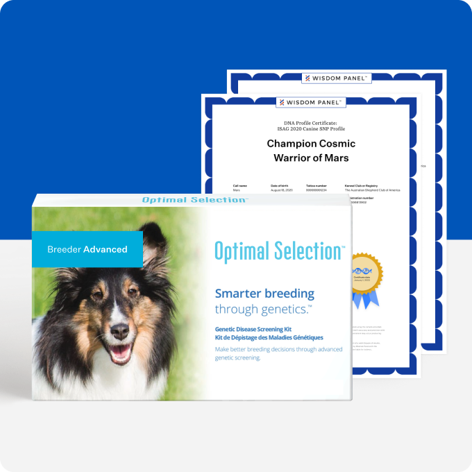 Optimal Selection Advanced Canine - Main Image