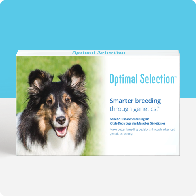 Optimal Selection™ Canine - Main Image