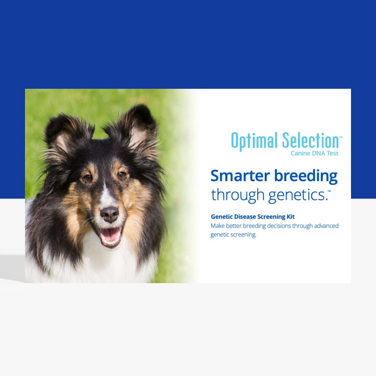 Dog breeding deals health tests