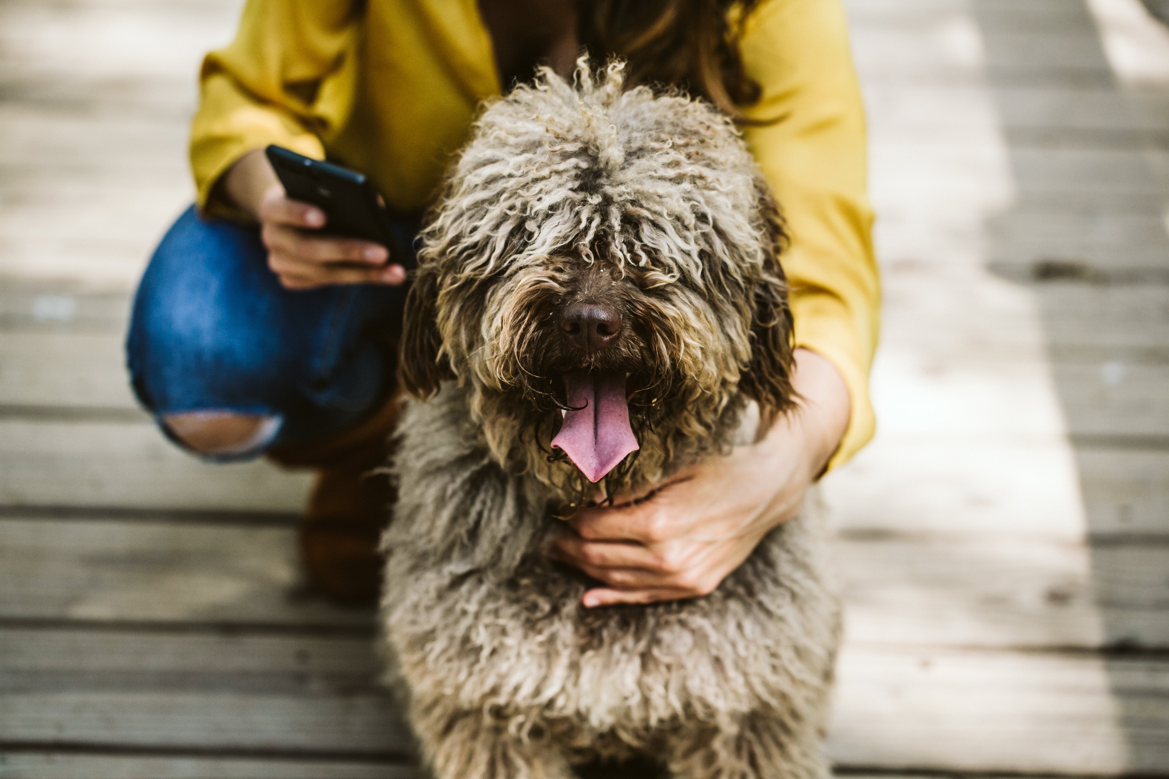 Woman on her phone while holding her dog