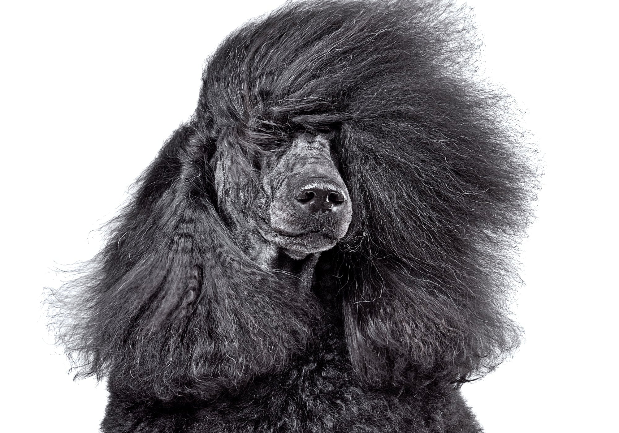 More about traits: how they interact