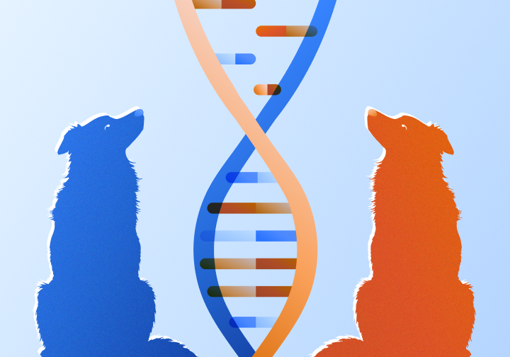 A Litter Predict User Guide