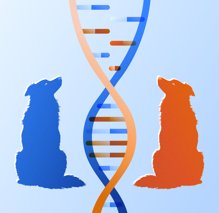 A Litter Predict User Guide