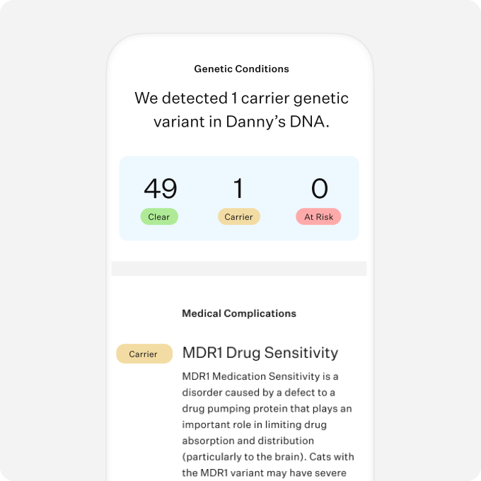 What Genetic Health Screens Should My Cat Breed Have: Essential Guide