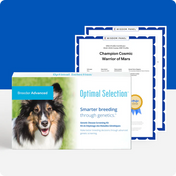 Optimal Selection Advanced - Canine