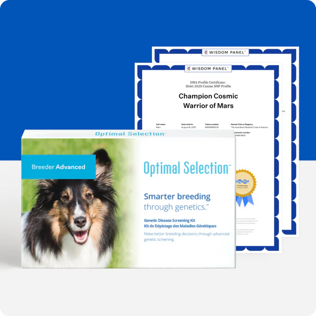 Feature_OS_Species_Dog_Tier_Advanced_Size_Lg.webp