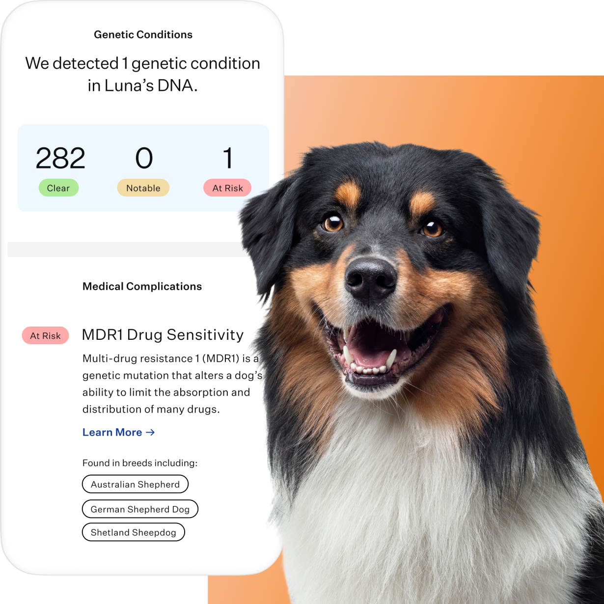 Feature_Test_Species_Dog_Product_OS_1.png