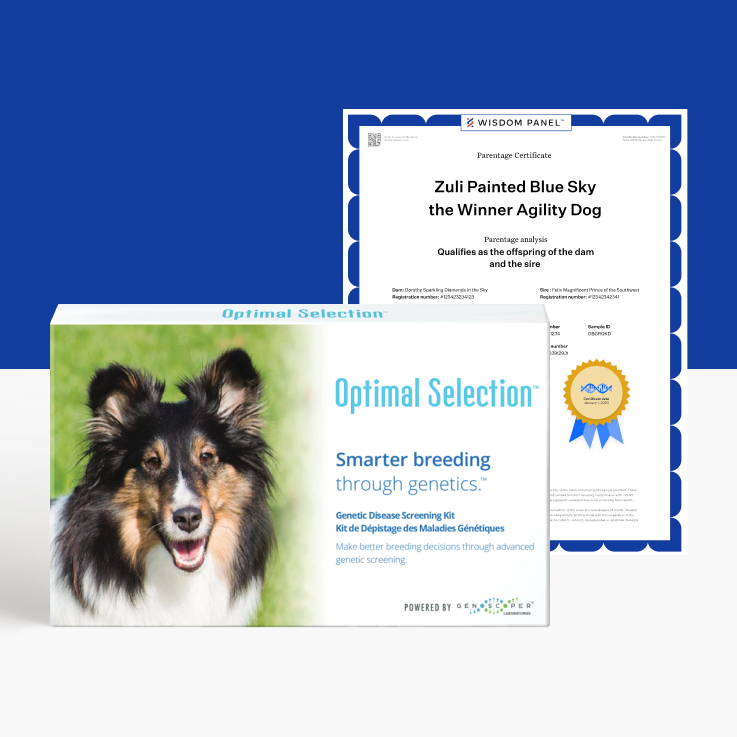 Optimal Selection™ Canine