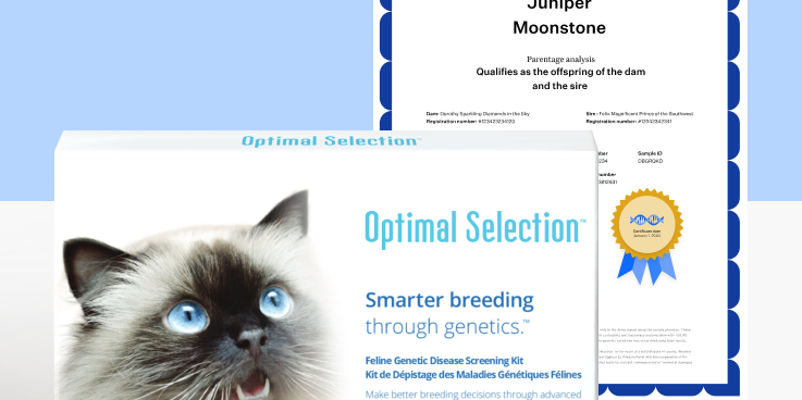 Optimal Selection™ Feline + DNA Profile with Parentage Service