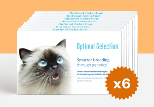Optimal Selection Feline Litter Pack