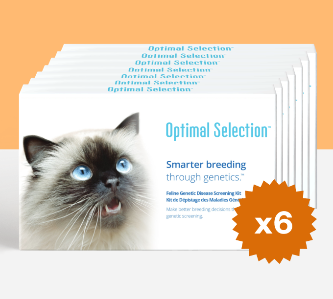 Optimal Selection Feline Litter pack