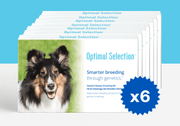 For your cat breed – Optimal Selection