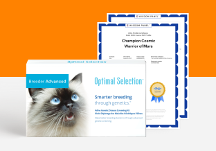 Optimal Selection Advanced Feline