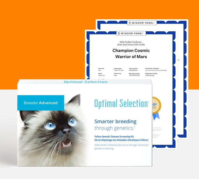 Optimal Selection Advanced Feline