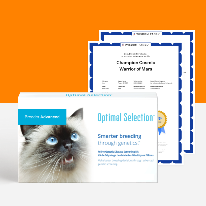 Optimal Selection Advanced Feline