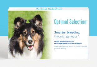 Optimal Selection™ Canine - Main Image