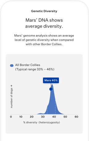 Optimal Selection Advanced - Canine