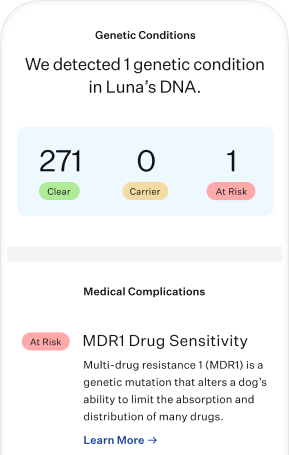 Optimal Selection Advanced - Canine
